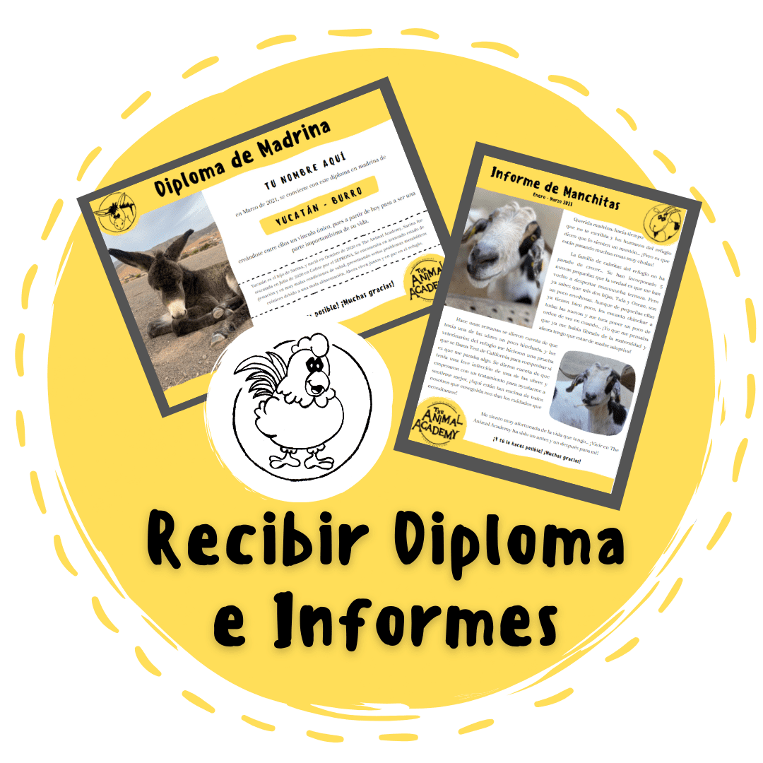 Apadrina Un Animal - Recibir Diploma e Informes Apadrina Un Animal - Recibir Diploma e Informes