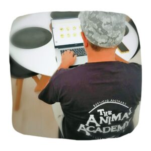 Voluntariado de gestion - The Animal Academy